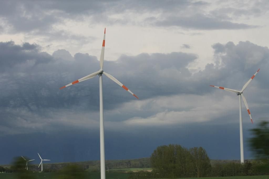 whatsapp image 2025 11 14 at 00.51.21 c93d9917